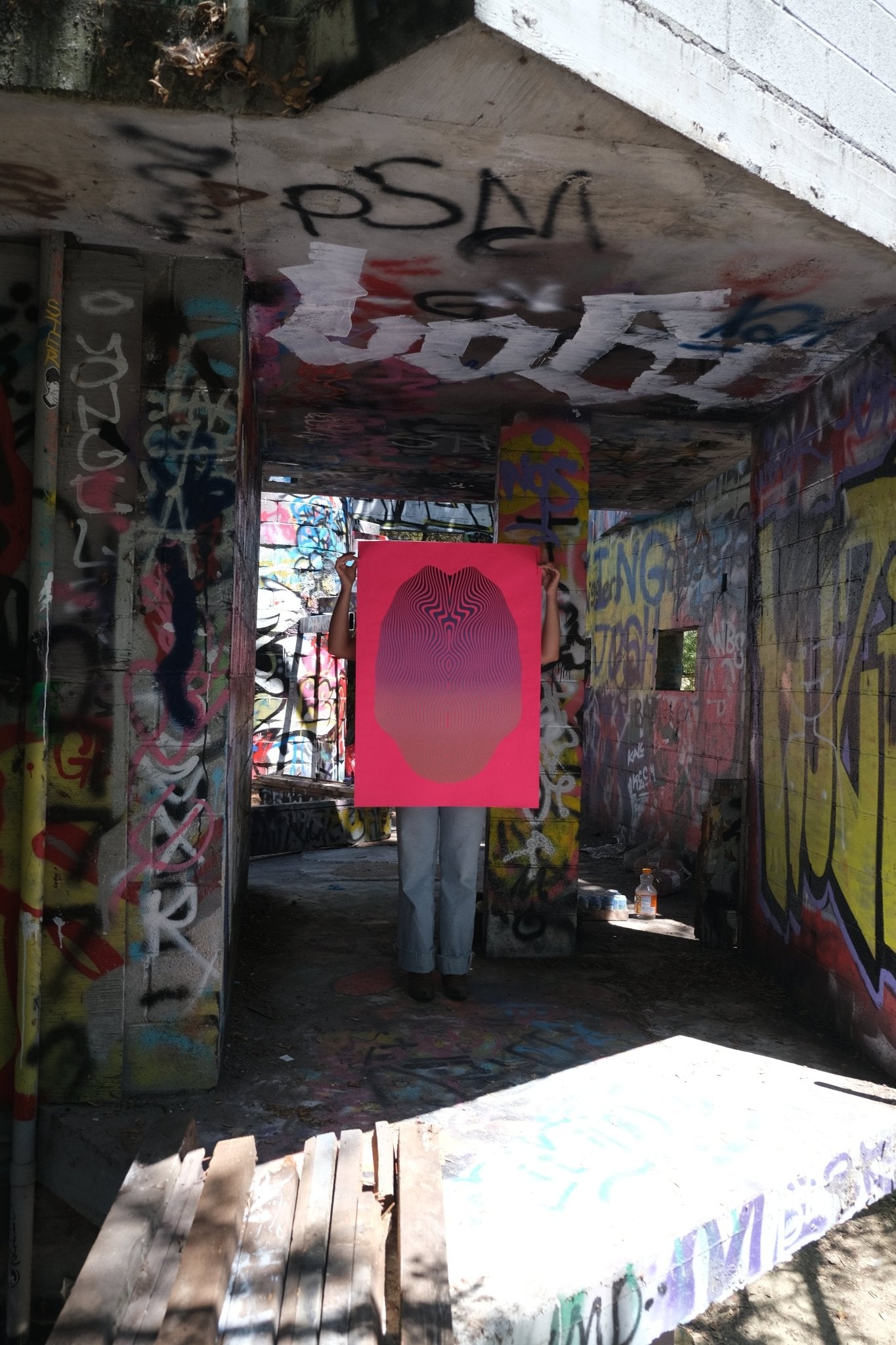 Feedbackground Entities series.4 - Dunja Jankovic - FORGET ABOUT WHITE WALLS