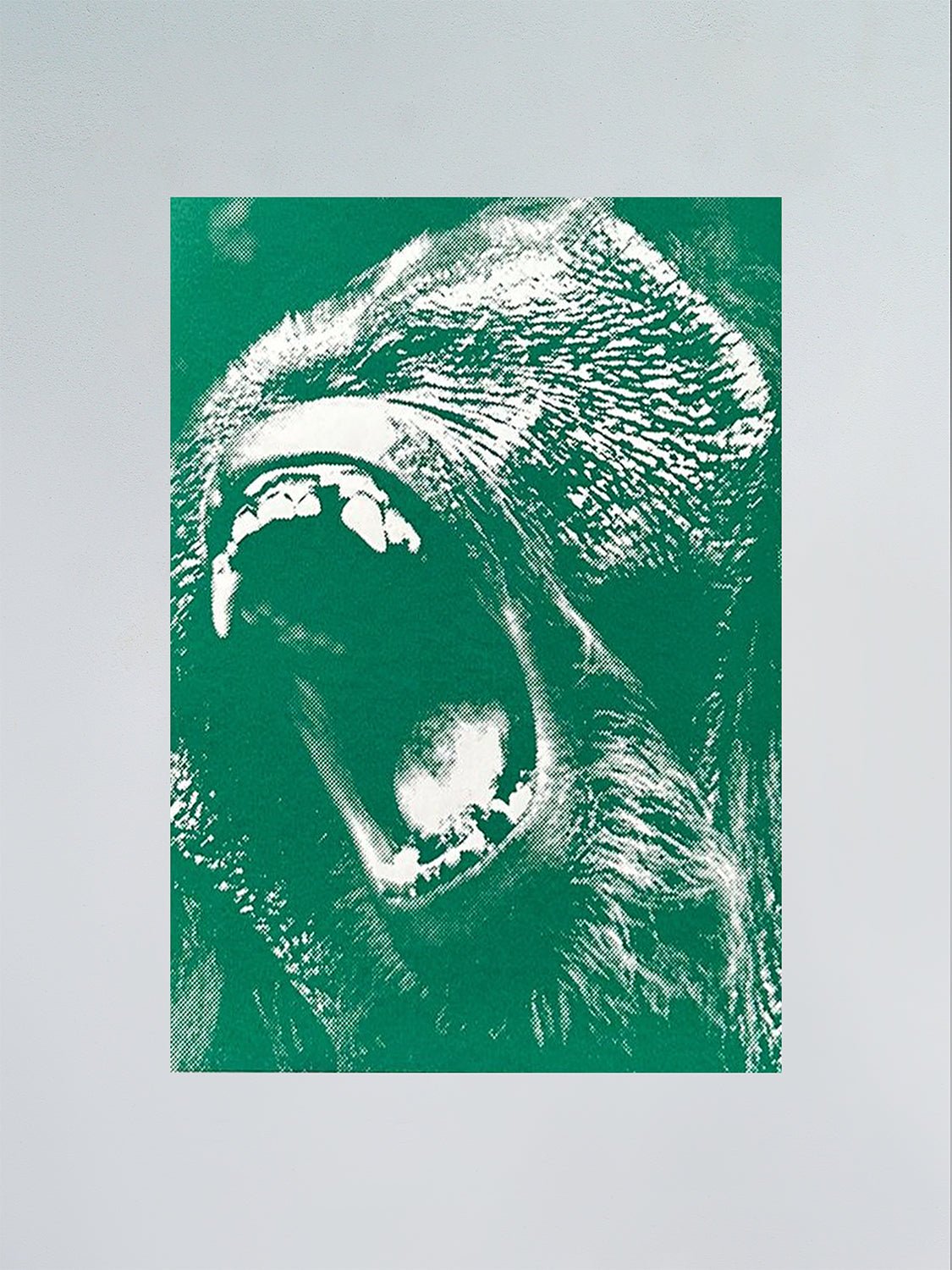 MONKEY 3 - Officina Arara - FORGET ABOUT WHITE WALLS