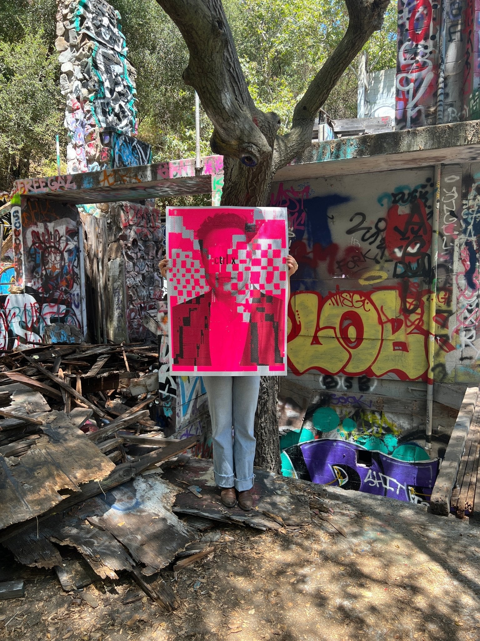 Poster Rex 018 - Poster Rex - FORGET ABOUT WHITE WALLS