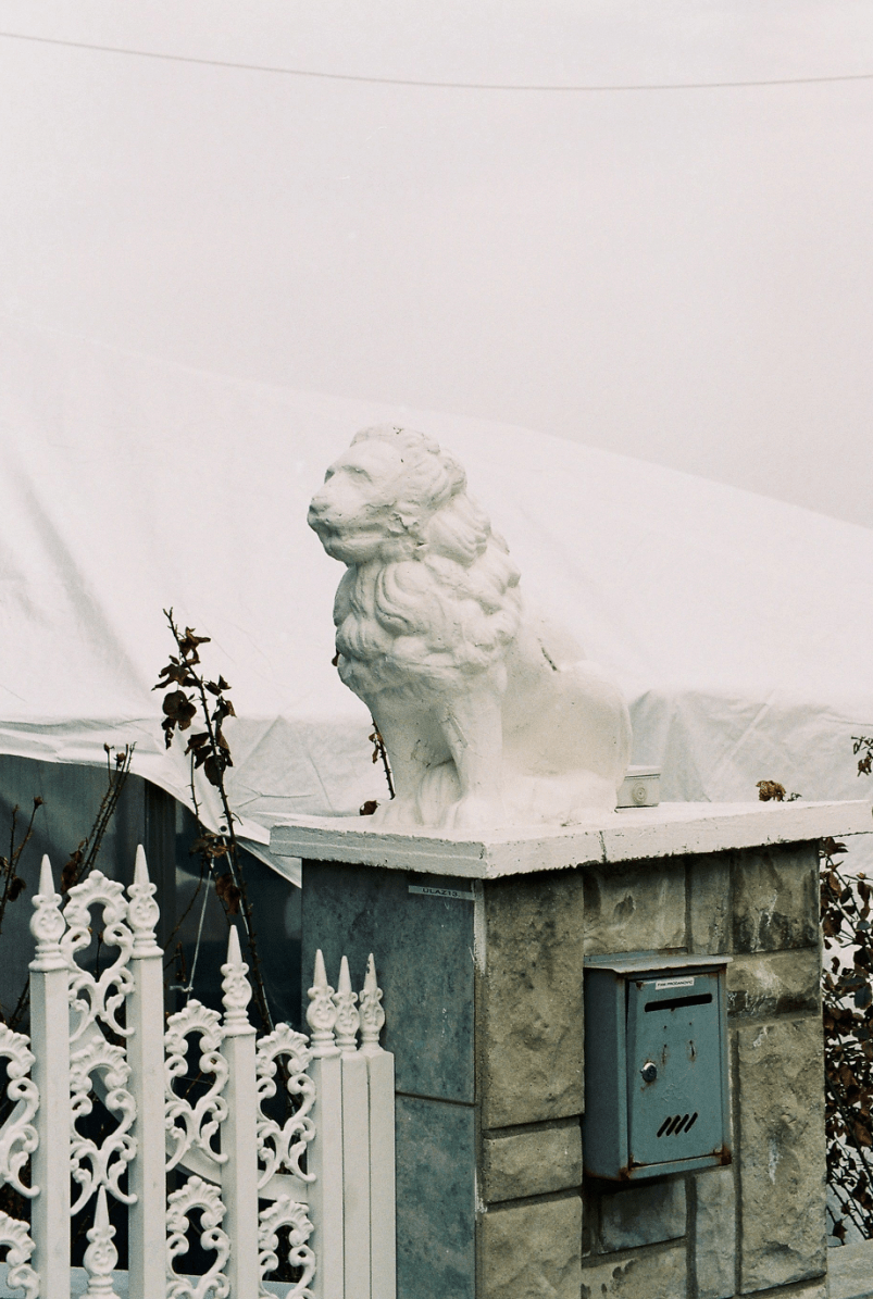 Untitled - Belgrade Raw - FORGET ABOUT WHITE WALLS