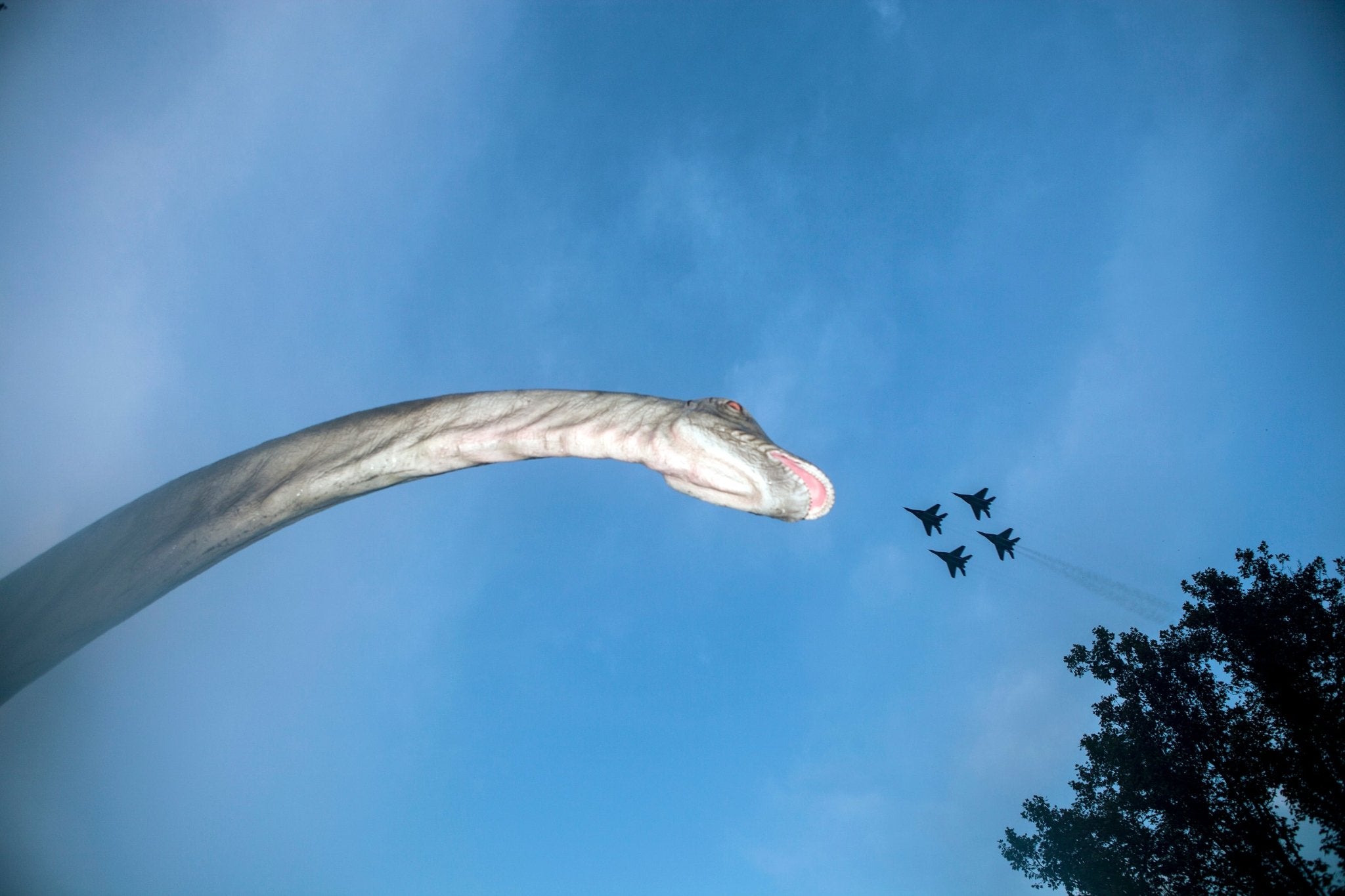 Untitled - Belgrade Raw - FORGET ABOUT WHITE WALLS