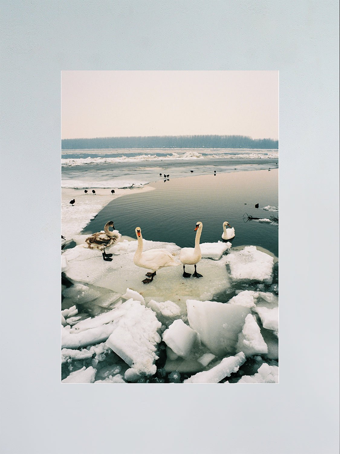 Untitled - F.A.W.W Gallery - Forget About White Walls