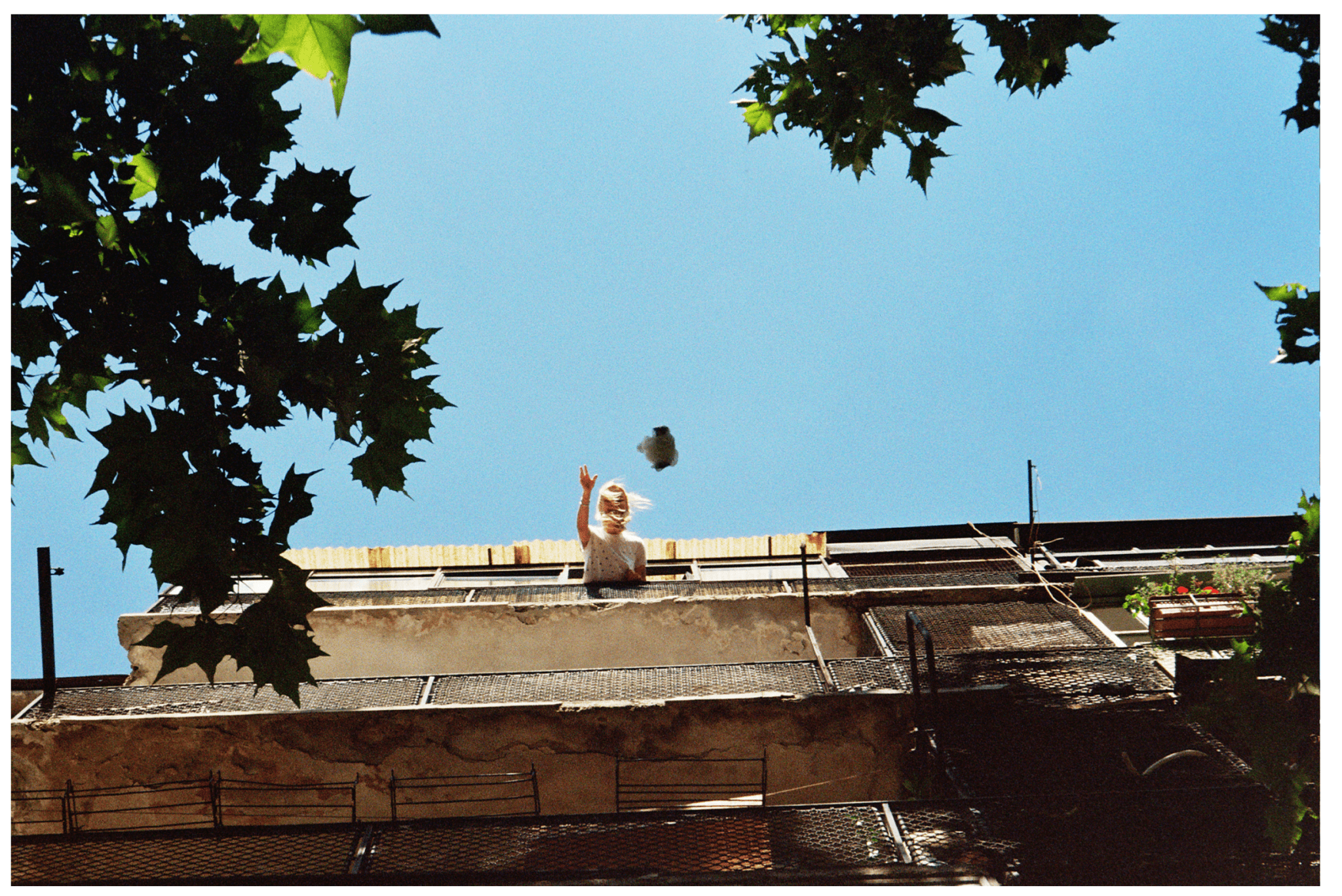 Untitled - F.A.W.W Gallery - FORGET ABOUT WHITE WALLS