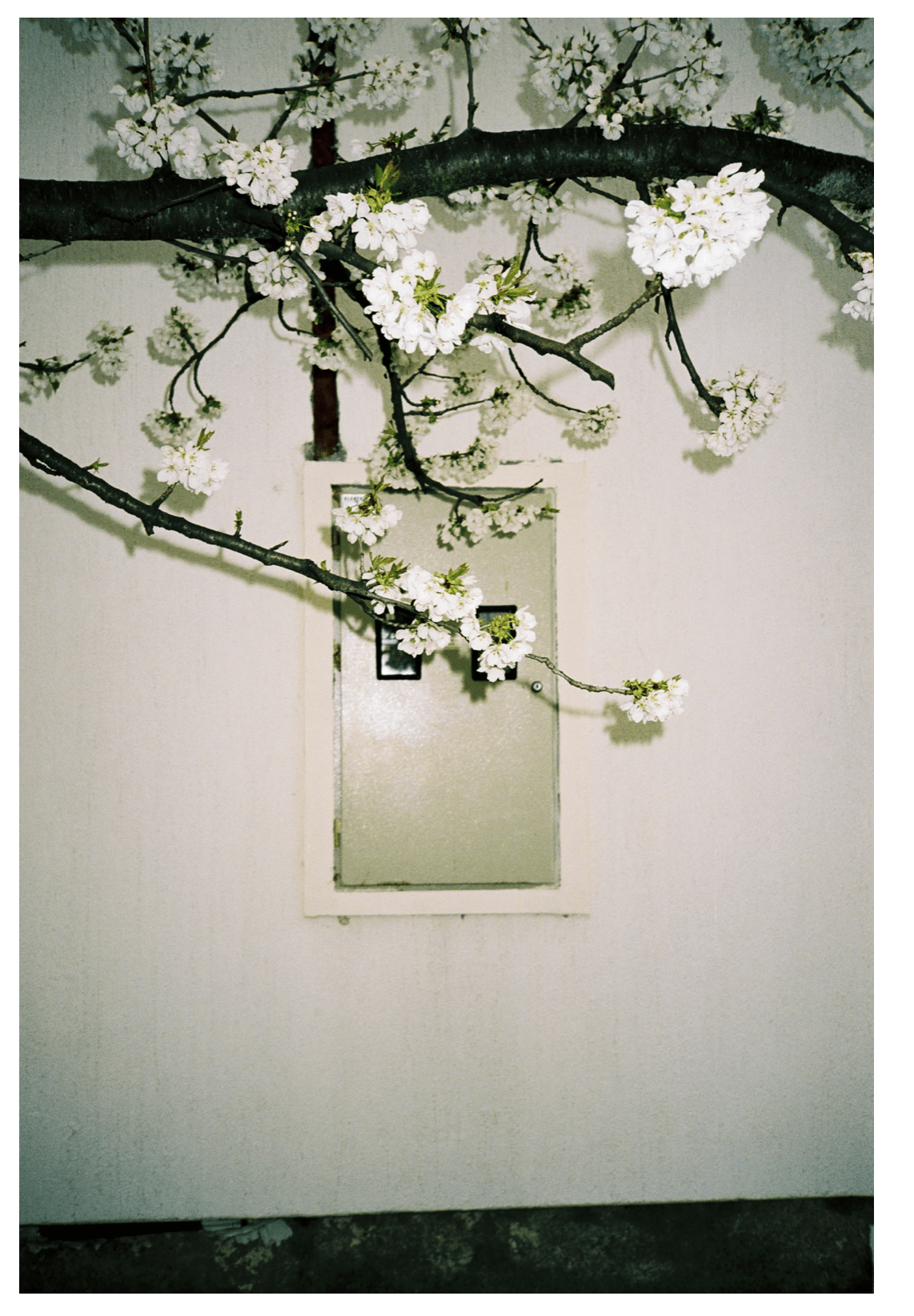 Untitled - F.A.W.W Gallery - FORGET ABOUT WHITE WALLS