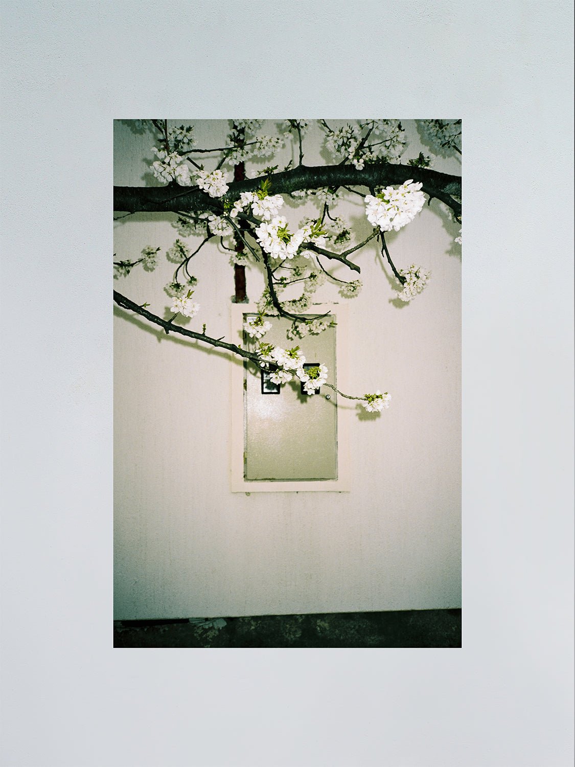 Untitled - F.A.W.W Gallery - Forget About White Walls