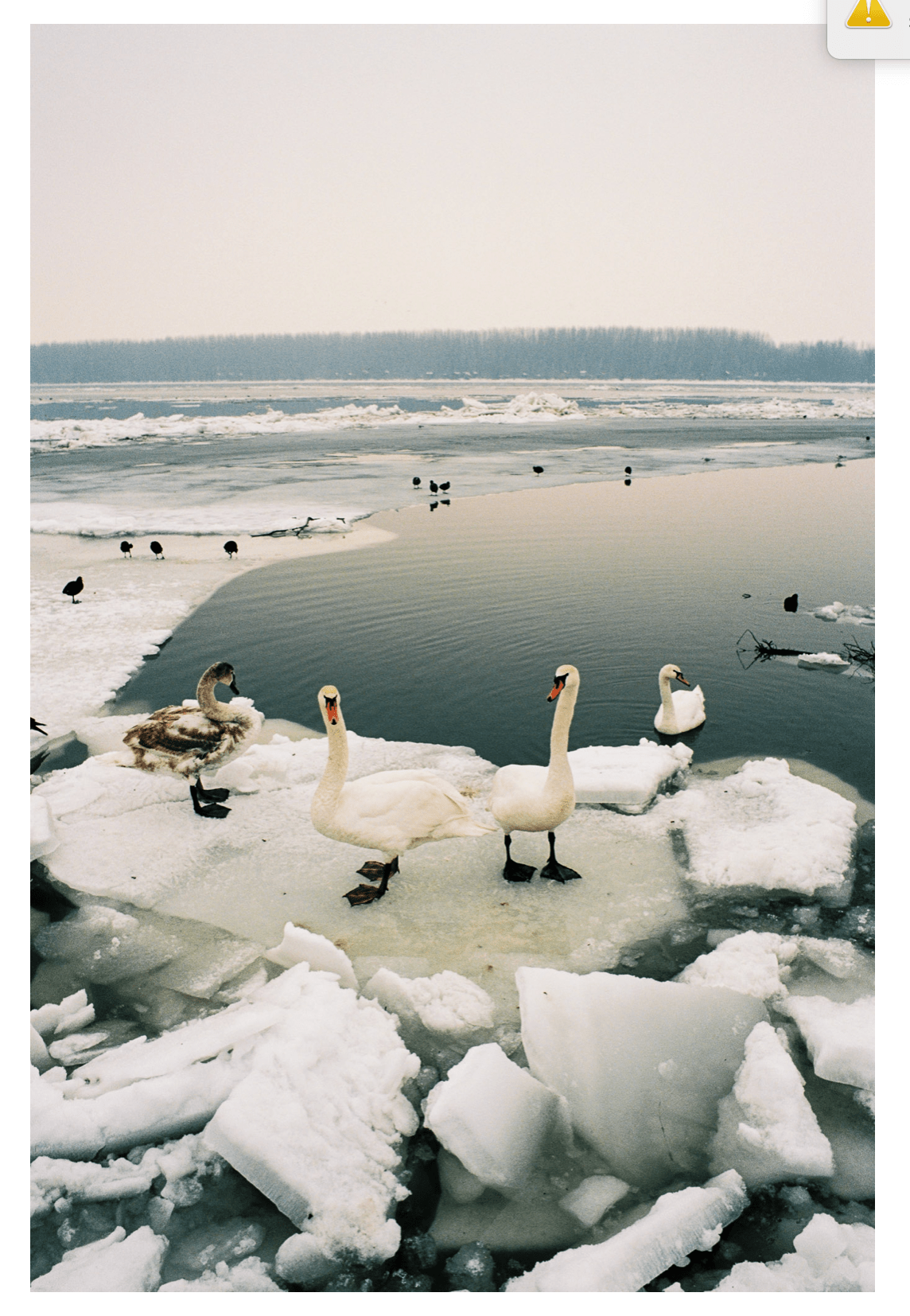 Untitled - F.A.W.W Gallery - FORGET ABOUT WHITE WALLS