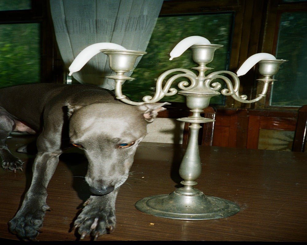 Untitled - F.A.W.W Gallery - FORGET ABOUT WHITE WALLS