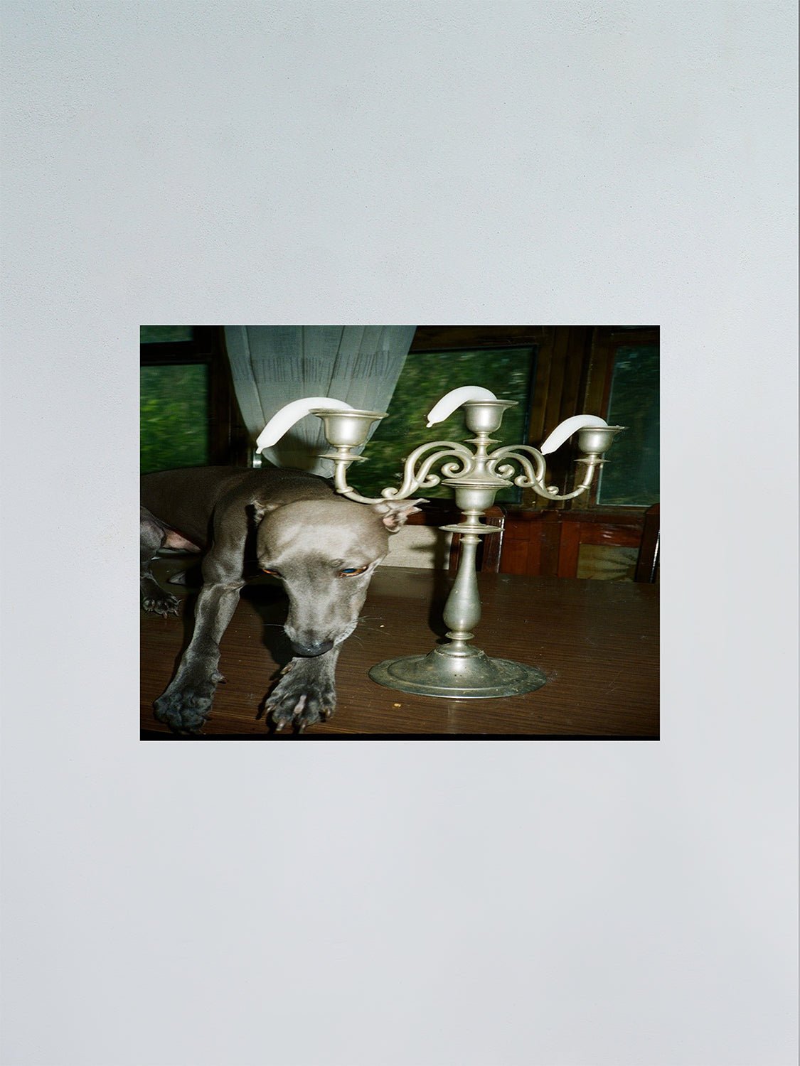 Untitled - F.A.W.W Gallery - Forget About White Walls