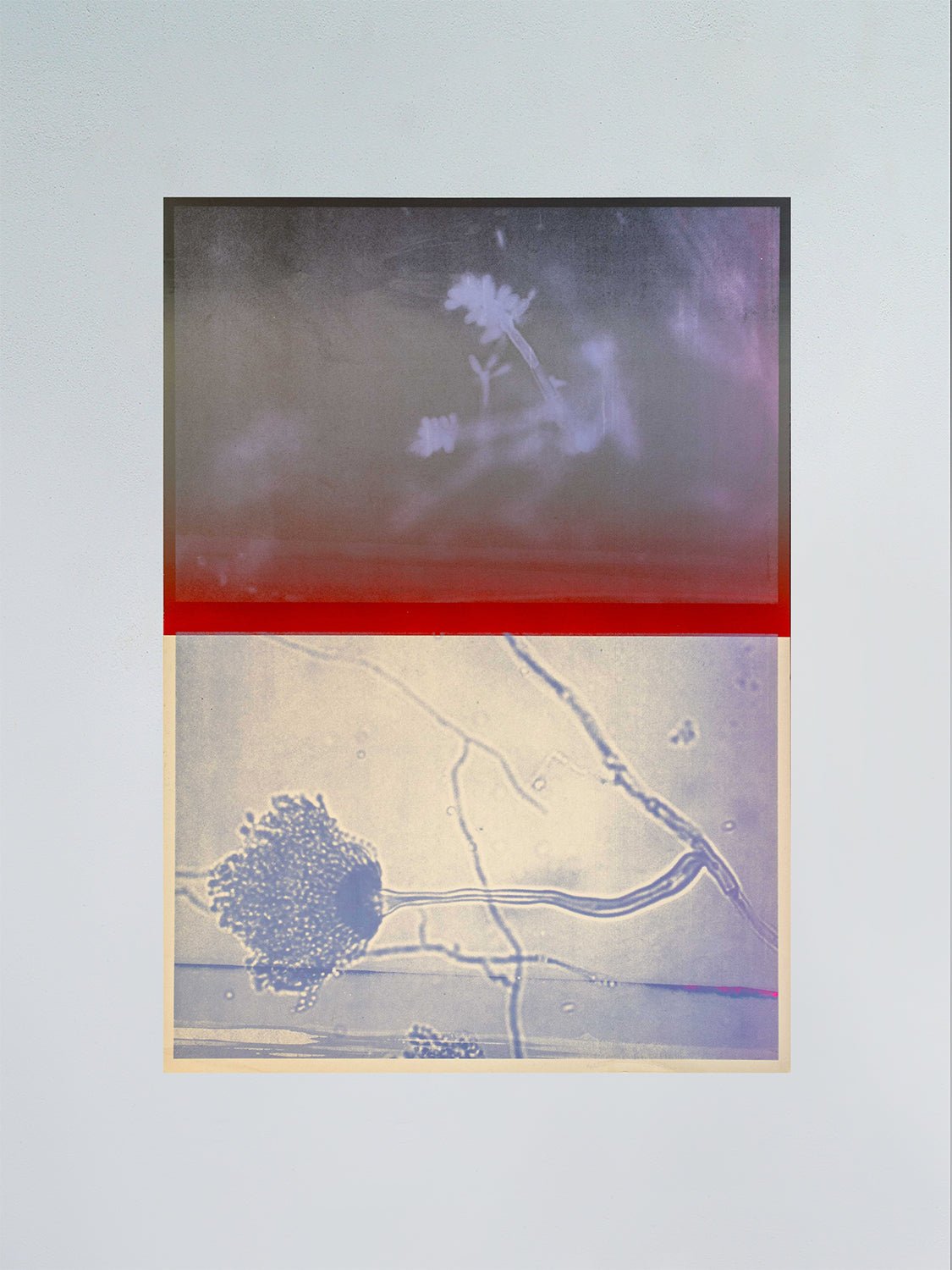 Untitled XXII - Prysm Edition - FORGET ABOUT WHITE WALLS