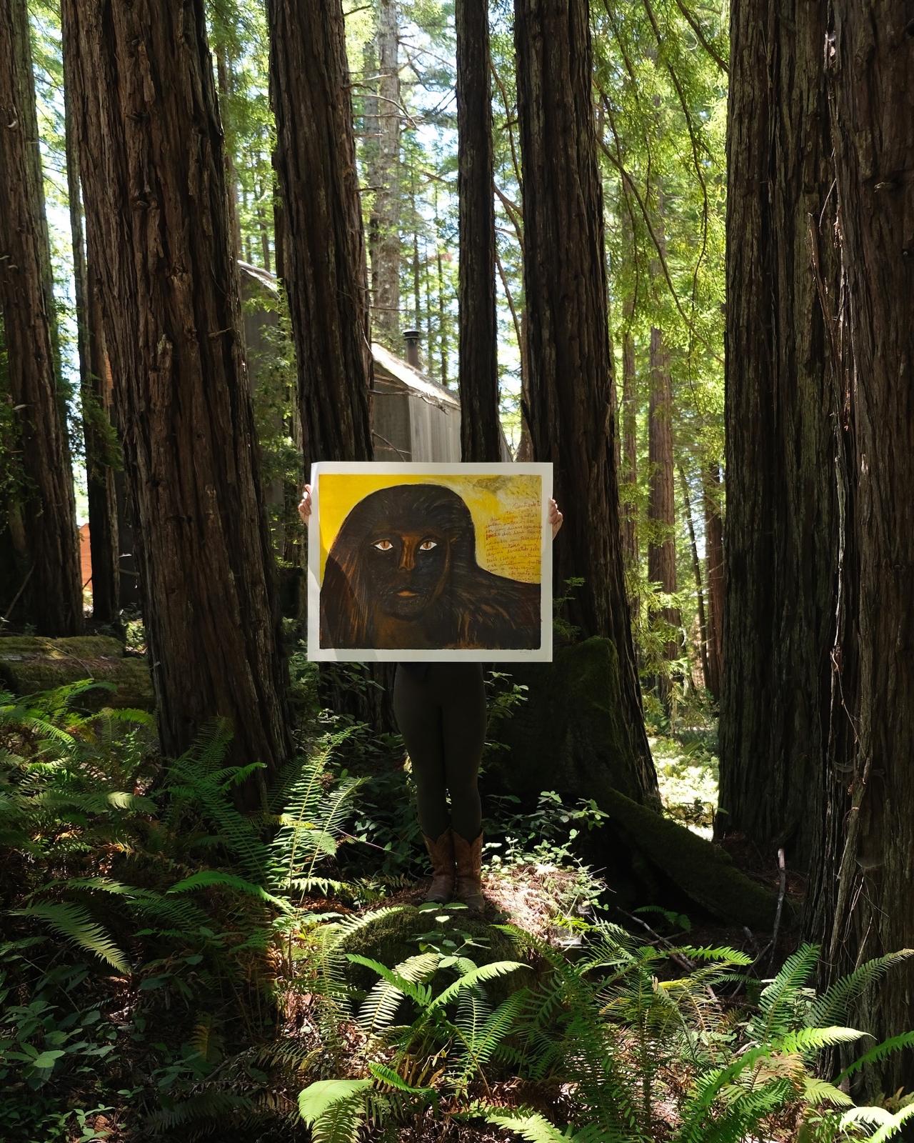 Into the Woods: FAWW Gallery at Sea Ranch 🌲🏡