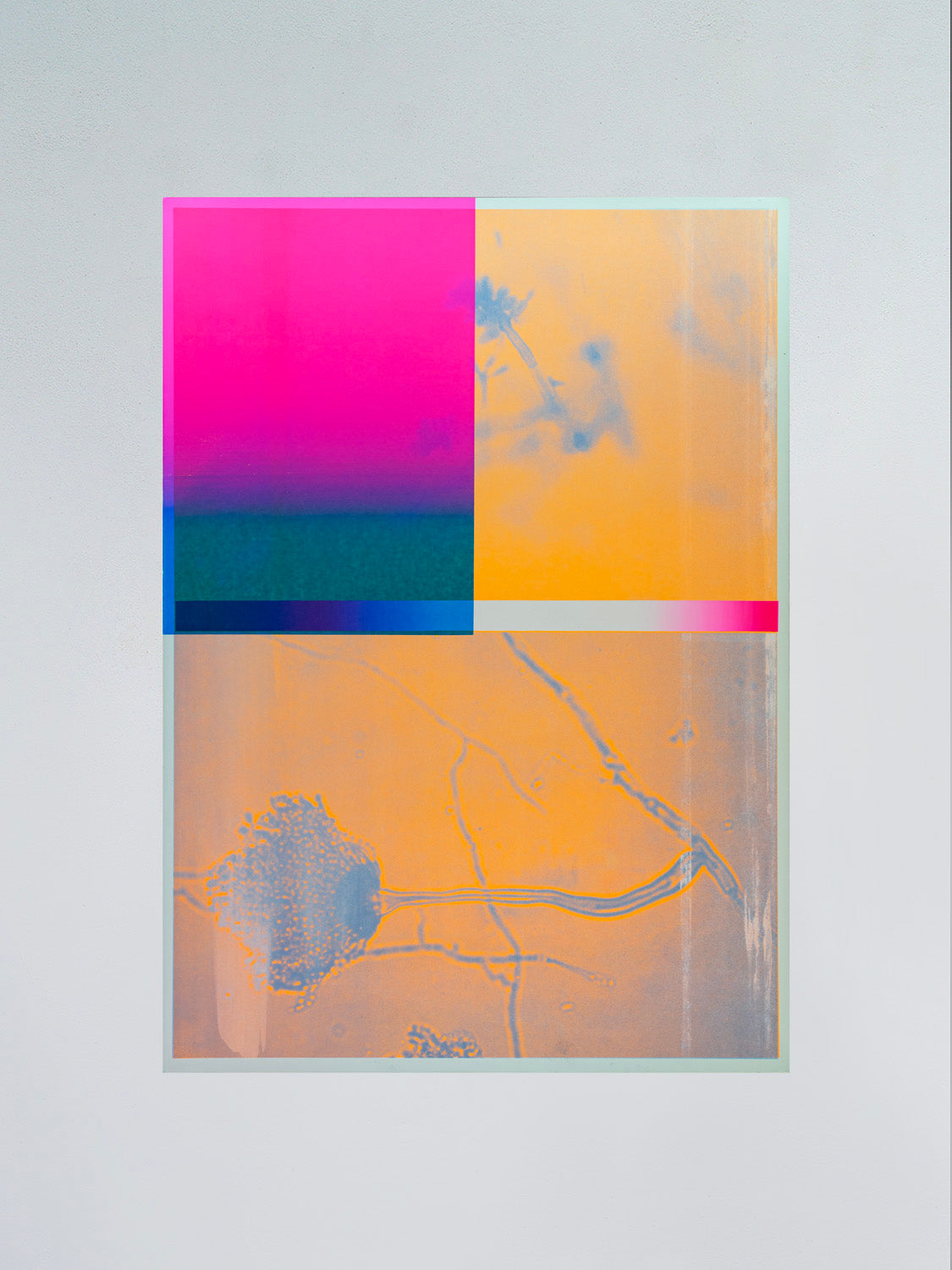 Prysm Edition, Monotype LXVIII, hand-pulled monotype screen print, 50 x 70 cm
