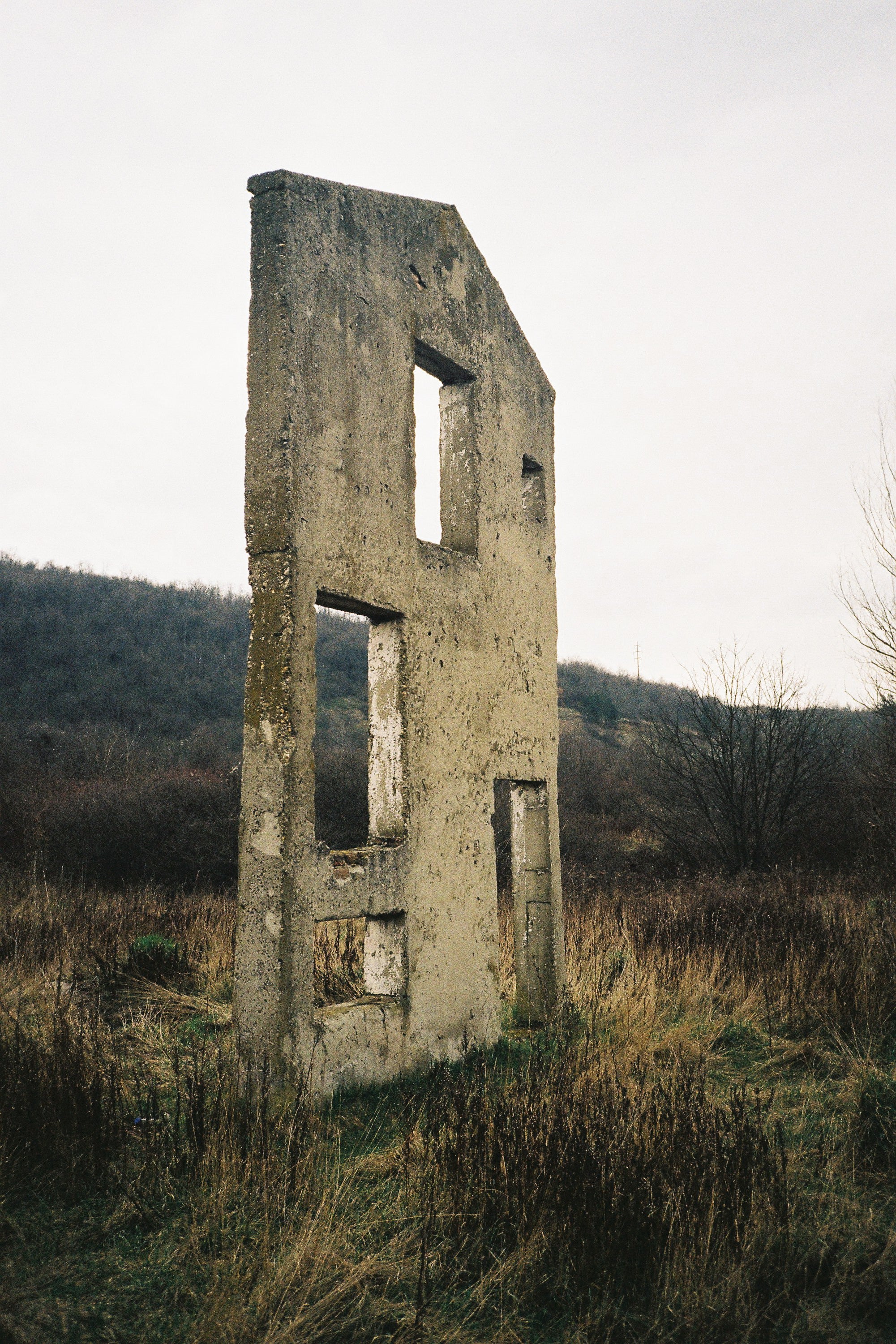 Untitled