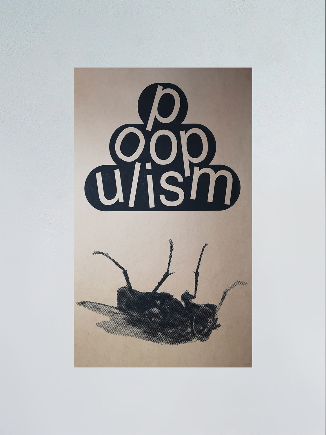 Poster Rex 08
