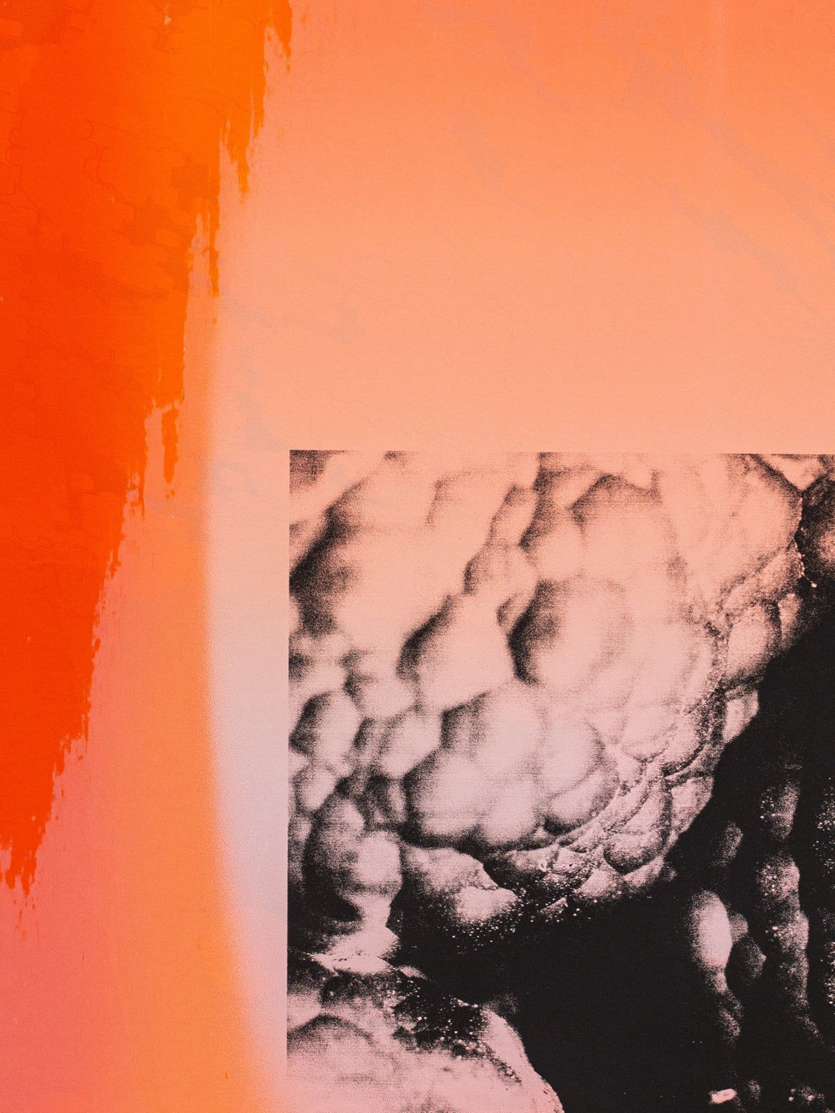 Monotype LXV - Prysm Edition - Forget About White Walls
