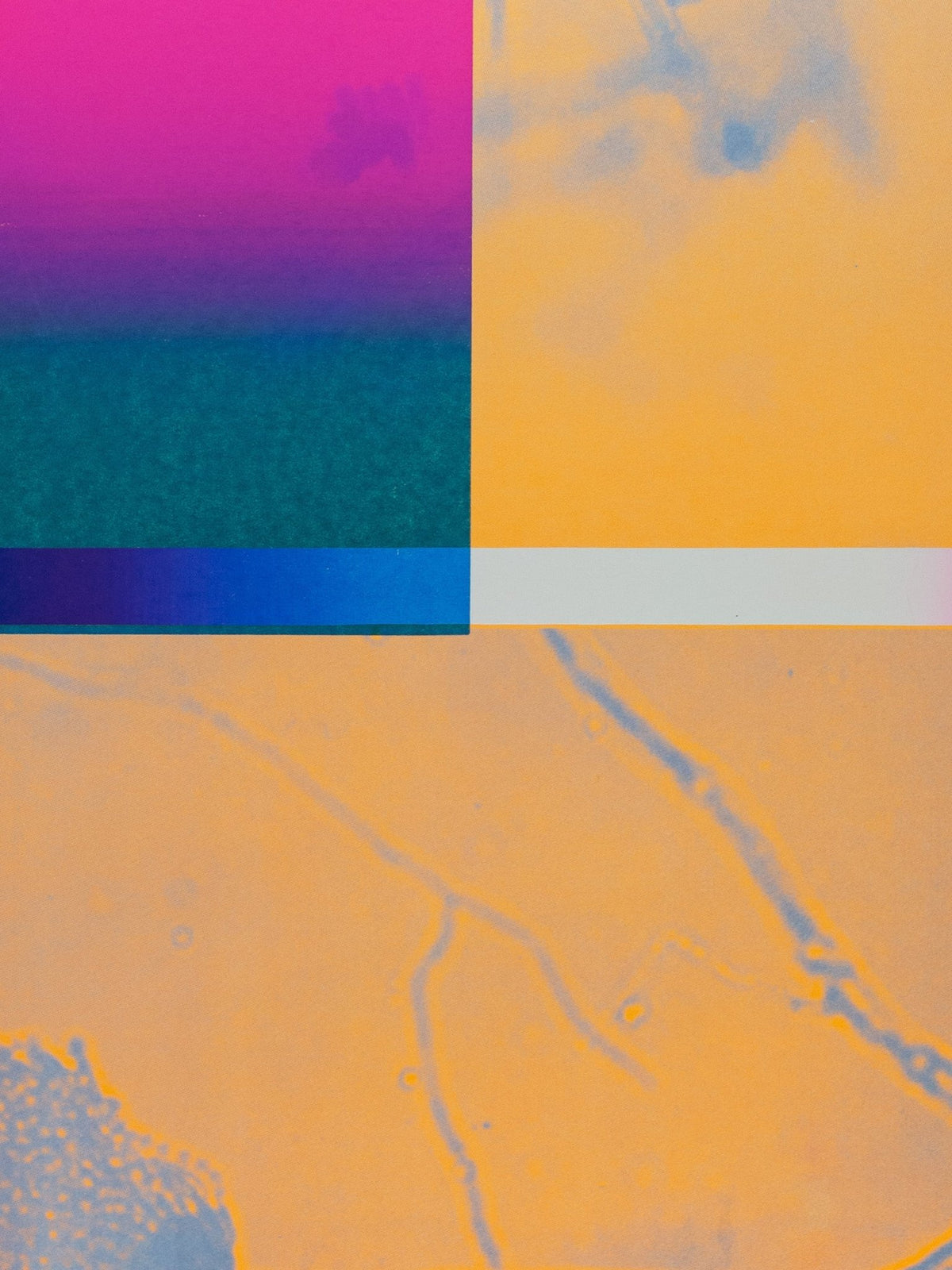 Monotype LXVIII - Prysm Edition - Forget About White Walls