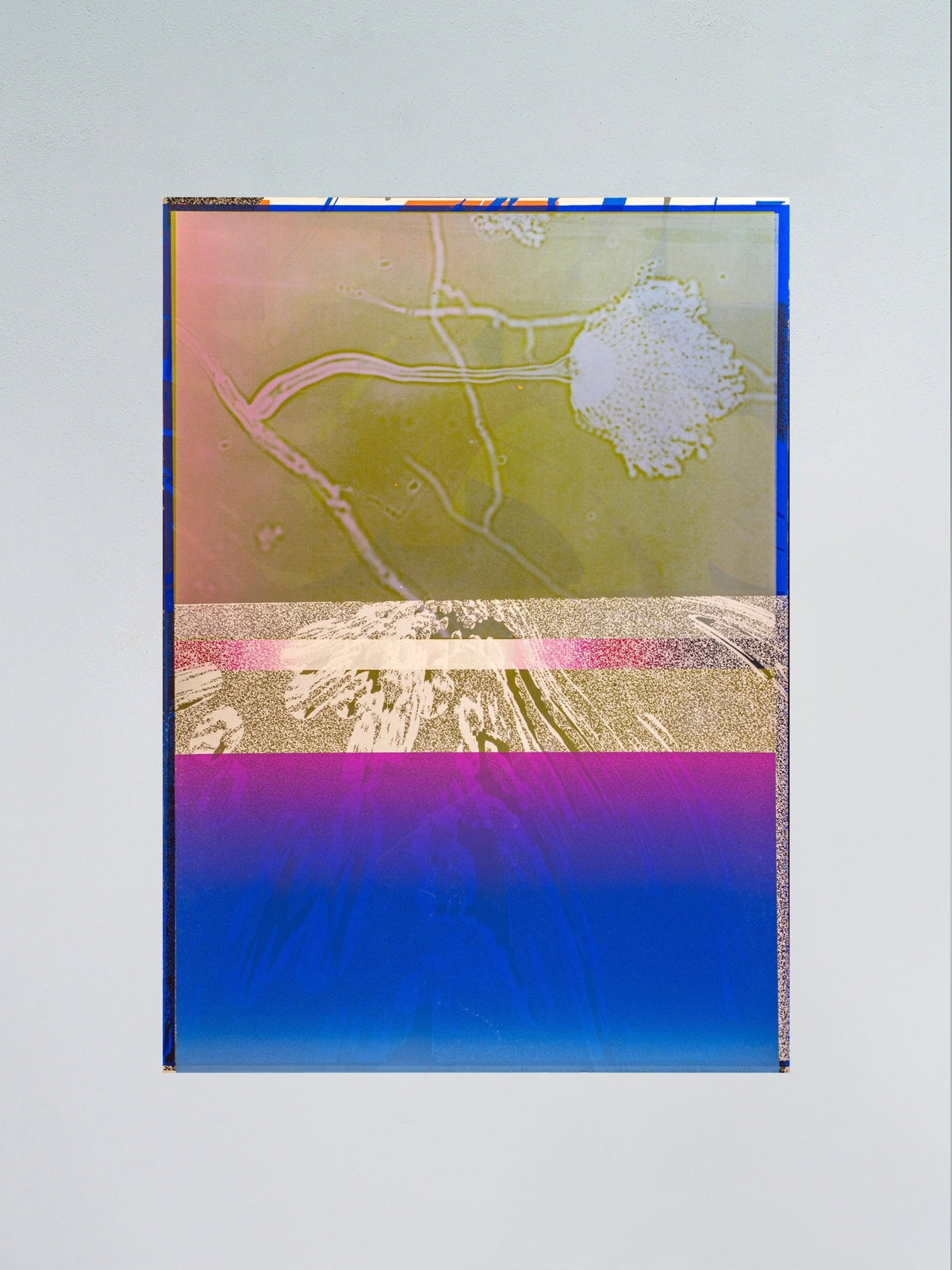 Monotype LXX - Prysm Edition - Forget About White Walls