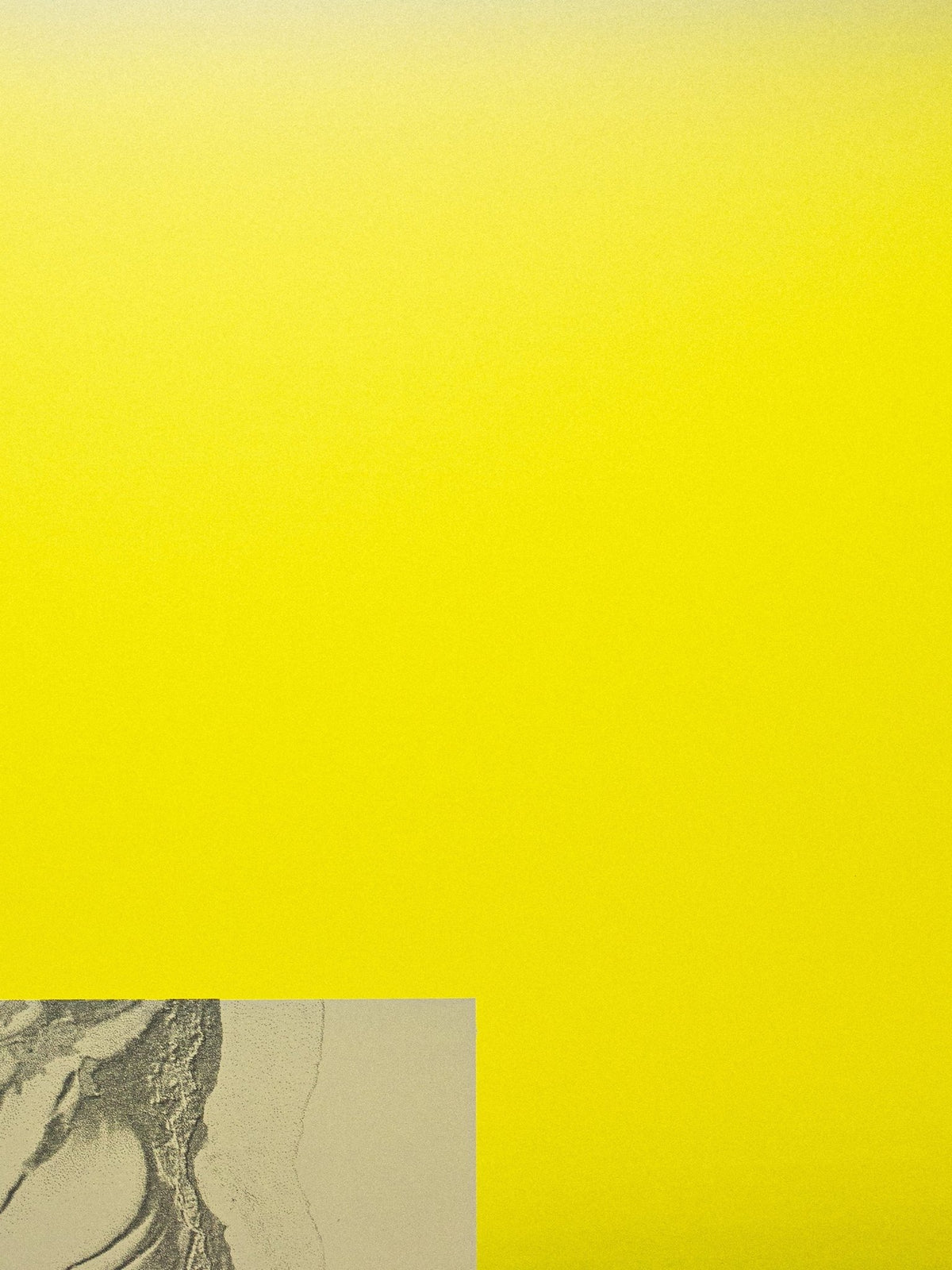Monotype VII - Prysm Edition - Forget About White Walls