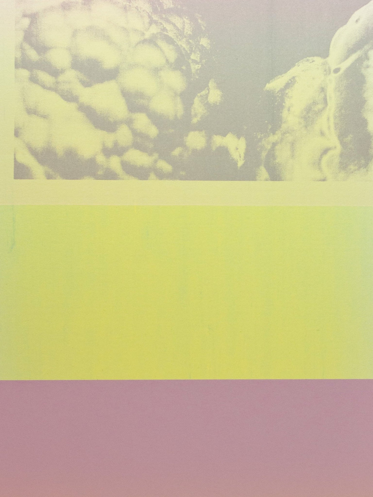 Monotype XVIII - Prysm Edition - Forget About White Walls