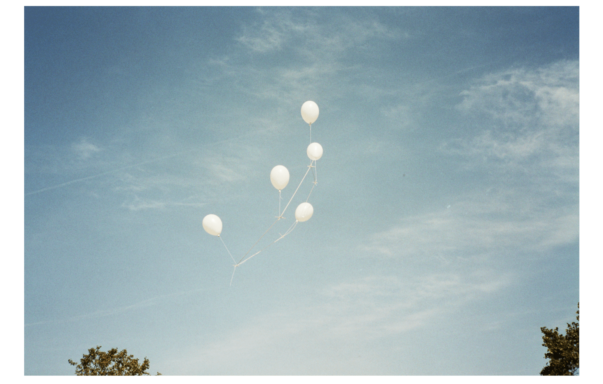 Untitled - F.A.W.W Gallery - FORGET ABOUT WHITE WALLS