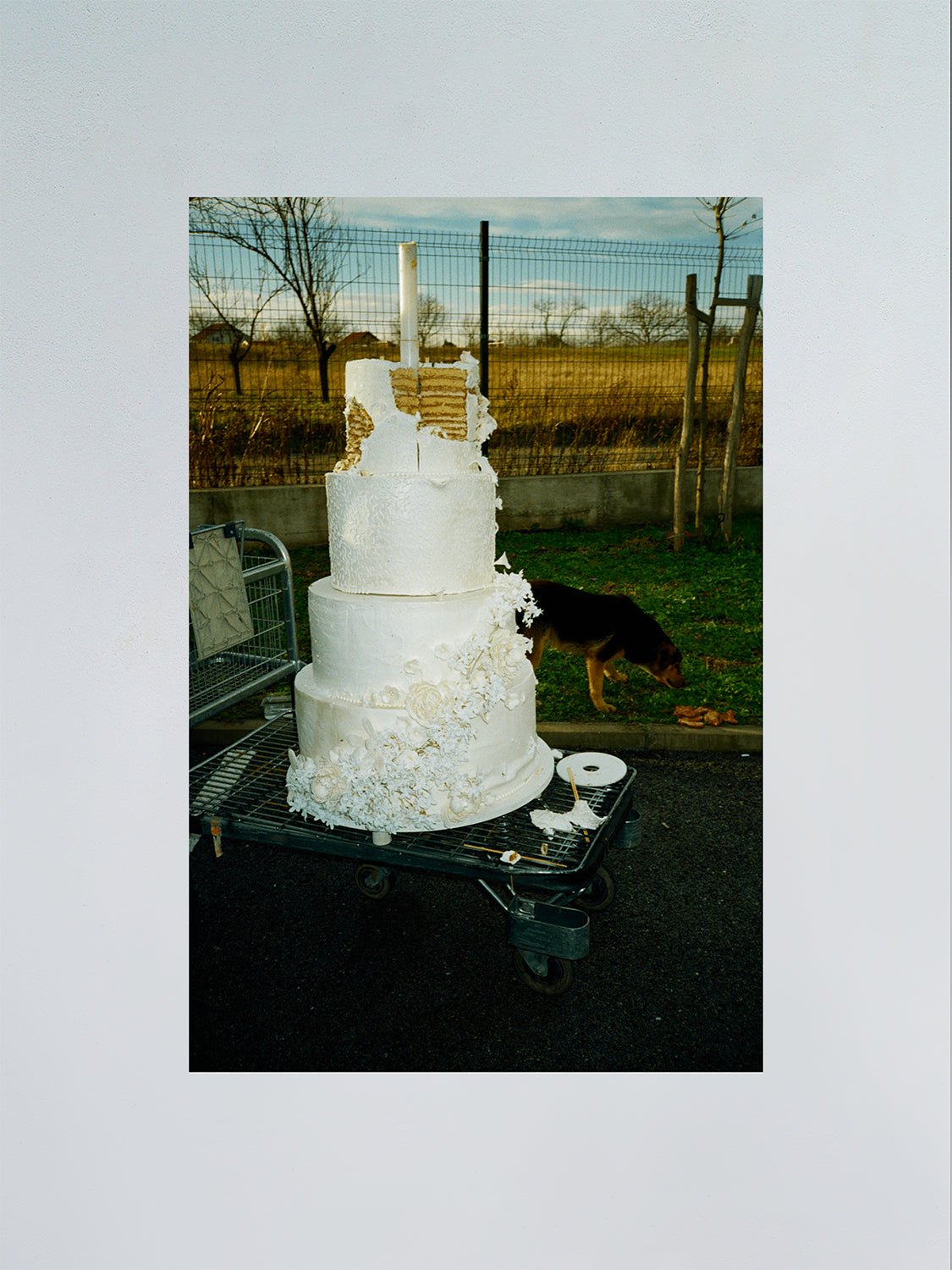 Untitled - F.A.W.W Gallery - Forget About White Walls