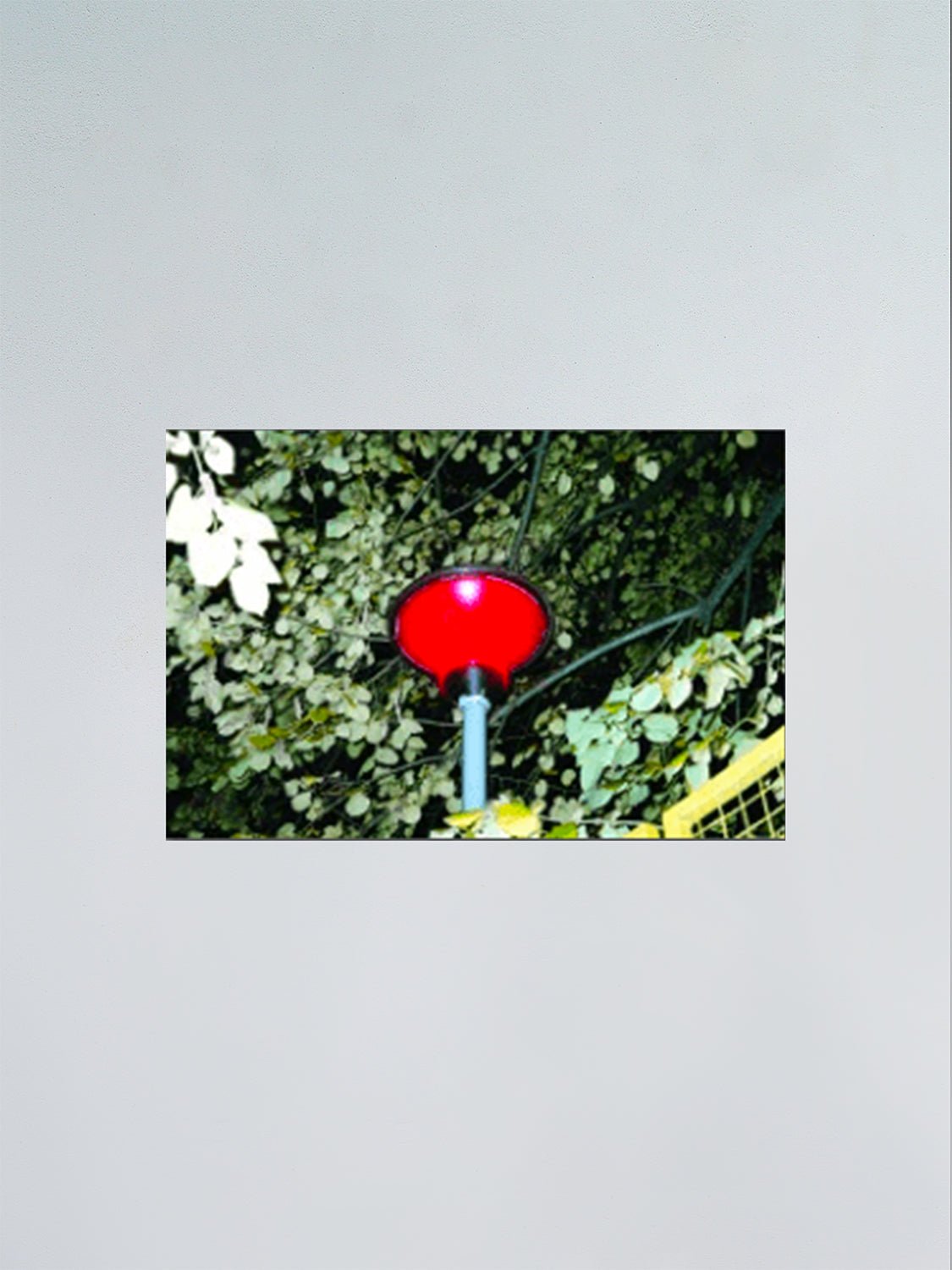 Untitled - F.A.W.W Gallery - Forget About White Walls