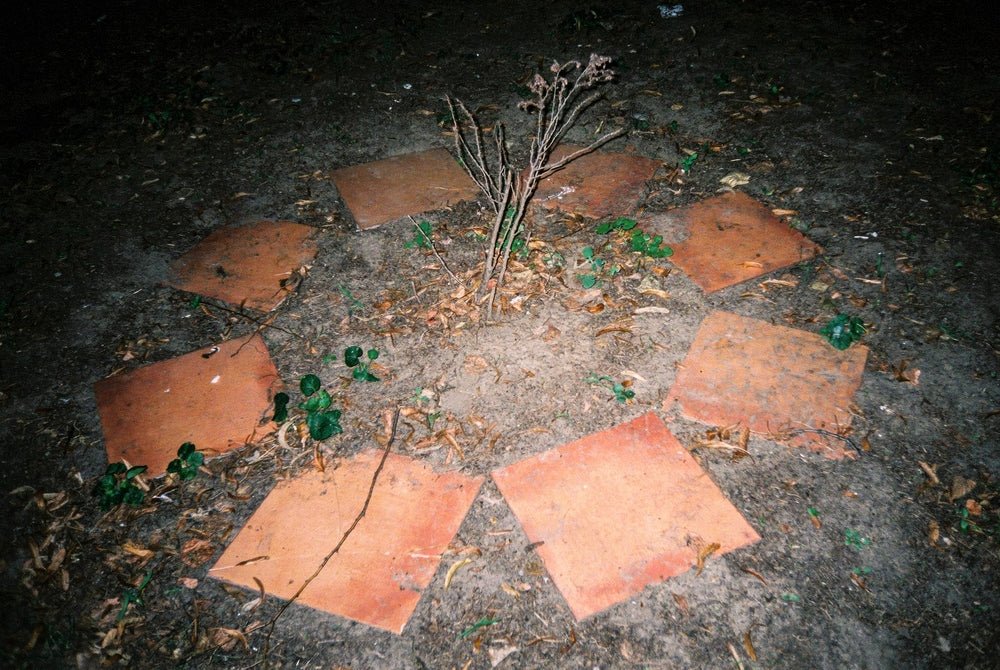 Untitled - F.A.W.W Gallery - FORGET ABOUT WHITE WALLS